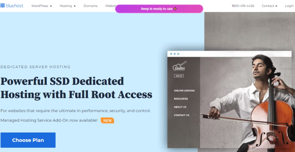 Bluehost : Dedicated Server