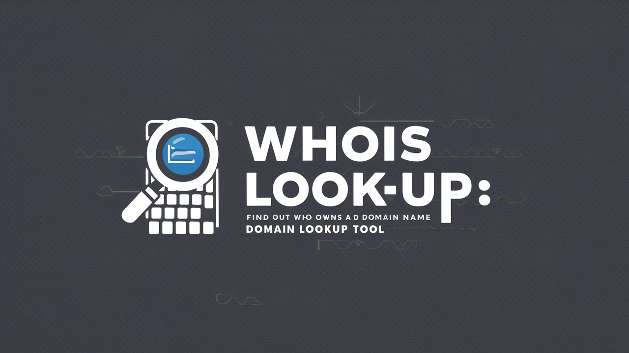 Domain Lookup Tool
