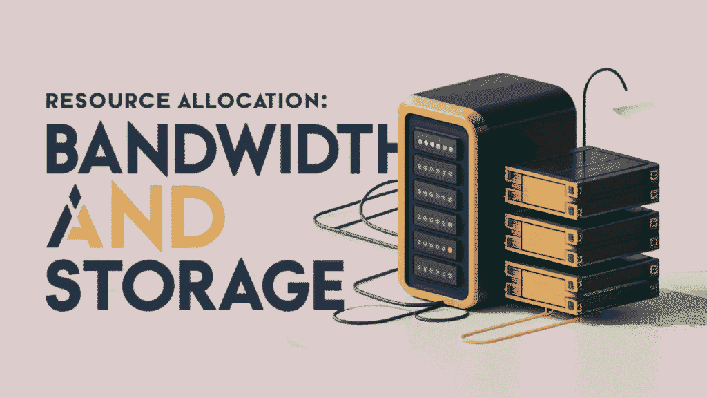 Resource Allocation: Bandwidth and Storage